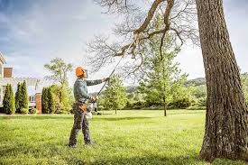 Best Tree Trimming and Pruning  in Memphis, TX